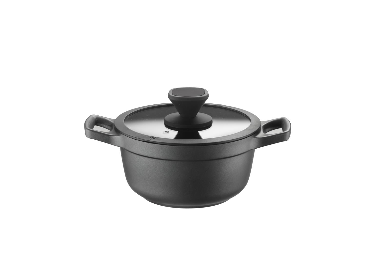 Fonda saucepan for induction, Pro line, with lid, diam.24cm