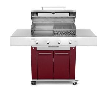 barbecue a gas con fornello laterale - pianeta grill